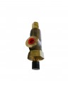 Safety Relief Valve, 1/2" MPT x 1/2" FPT