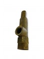 Safety Relief Valve, 1" FPT x 1" FPT